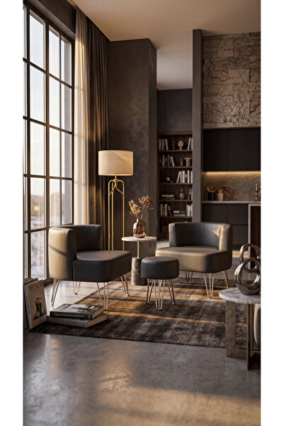 AY CONCEPT Elegance 2'li Çay Seti Berjer Ve Puf Takımı Deri Kuaför , Güzellik...