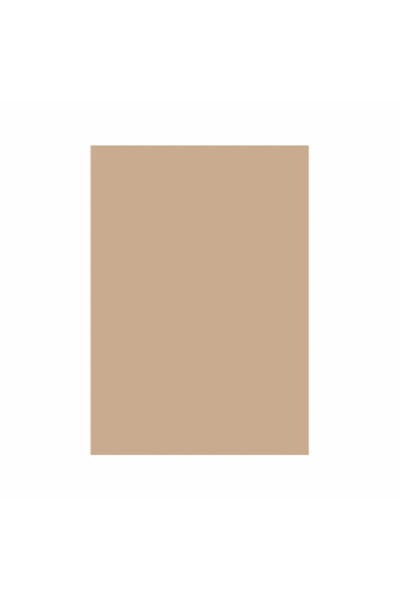 Color Plus Carton Color 160G/MP A4 Maro Hazelnut