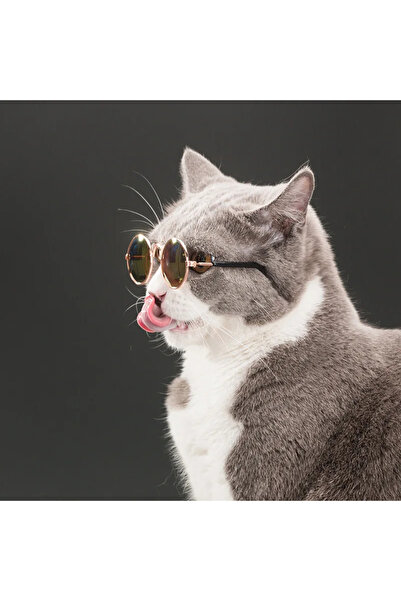Choice S 1 PC Random Color Fashion Cat Glasses For Small Cat Glasses Grooming...