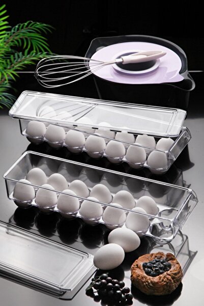 Open Home Concept 14-Piece Maxi Egg Storage Container with Lid 2 Transparent