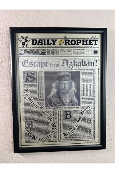 ArtHoby Çerçeveli 3D Lenticular Hareketli Poster Harry Potter NewsPaper Serie...