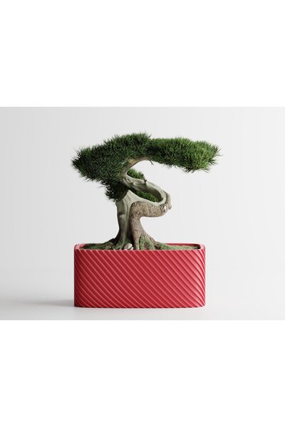 Sani Ghiveci decorativ Sani, Bonzai, mare 185 x 103 x 80 mm, roz