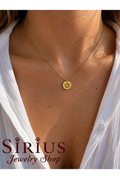 sirius jewelry 316L Çelik Yengeç Burcu Kolye