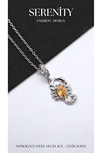 Serenity Astrology Zodiac Signs Figured Steel Necklace