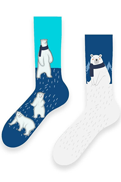 CARNAVAL SOCKS Sağlı Sollu Kutup Ayısı Desenli Renkli Çorap