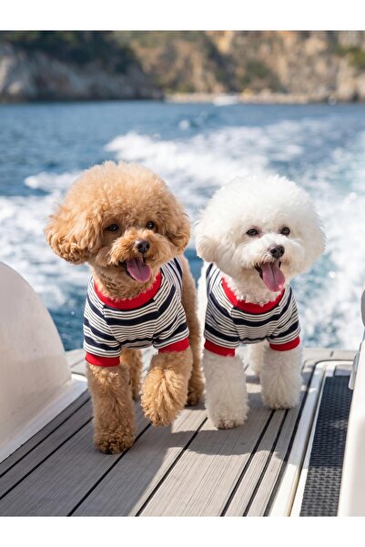 Kemique Yacht Club Marin Çizgili Köpek Tişörtü | Lacivert Kırmızı Yazlık Köpe...