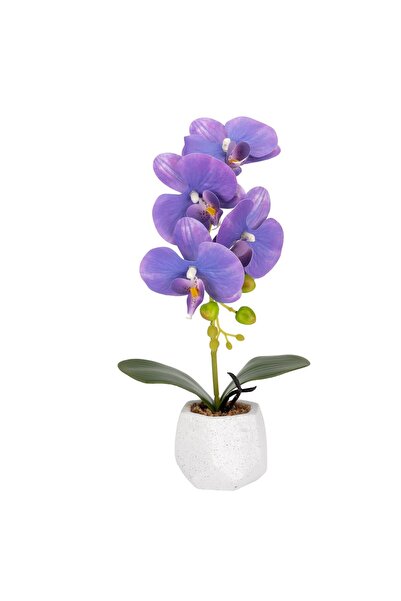 Naimeed Company Orhidee decorativă în ghiveci ceramic, 41 cm, Naimeed D6884, Mov