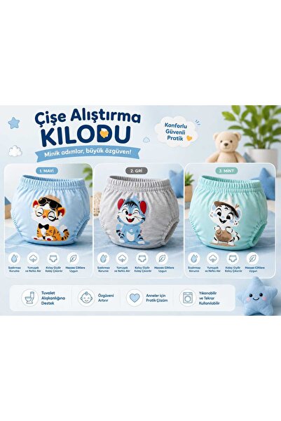guaystyle Sızdırmaz Çiş Alıştırma Külodu - 3'lü Paket Mavi, Gri, Mint - Yıkan...