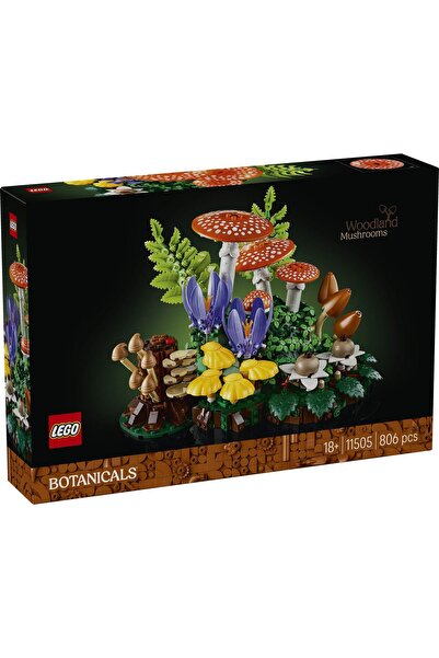 LEGO CIUPERTE DE PĂDURE 11505