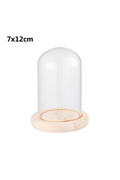 Choice3 7x12cm Glass Cloche Jar Display Stand Cover Terrarium Bottle with Woo...