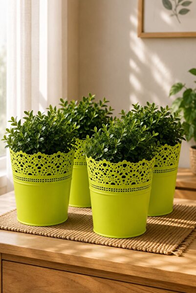 Alezy DAS2 Dantel No:2 - 2.3 Litre Plastik 4'lü Saksı