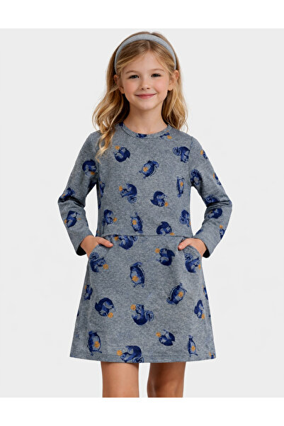 Evendi Dress, Gray