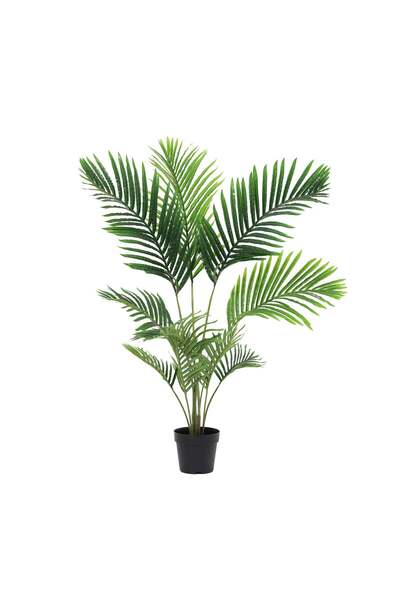 Highpoint High Point Tree in a Stylish Green Arrangement Suitable for Living ...