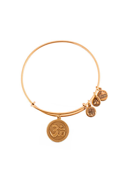 Alex and Ani Bratara Metal A14EB70RG