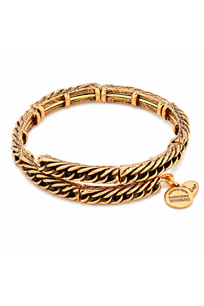 Alex and Ani Bratara Metal V16W47RG