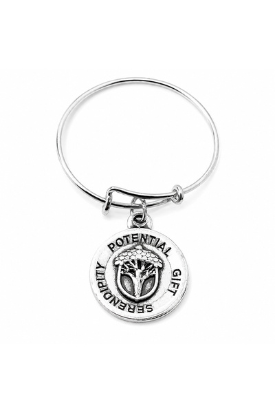 Alex and Ani Bratara Metal A16ERUMRS