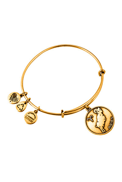 Alex and Ani Bratara Metal A13EB01ARRG