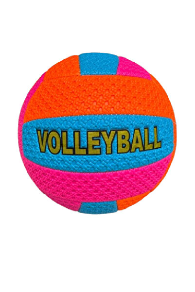 Erzi Profesyonel Voleybol Topu