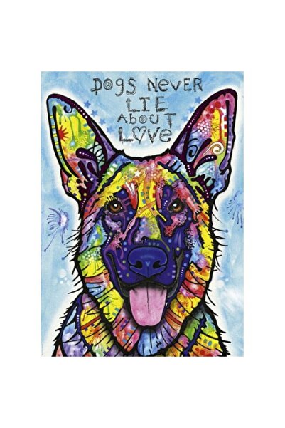 Heye Puzzle 1000 Pies, Jolly Pets