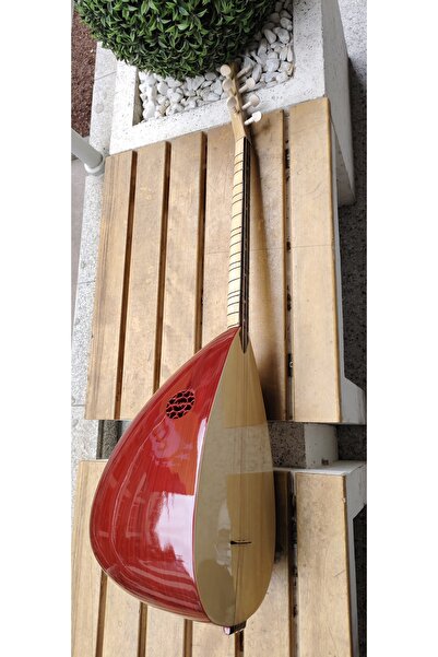 MASTERWORK KOMPOZİT BAGLAMA KILIF+TEL+TEZENE F/P ÜRÜNÜ