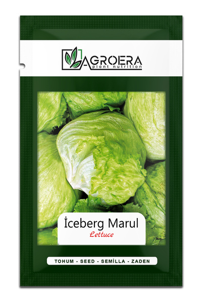 AGROERA Iceberg Tohumu Göbek Marul Tohumu (5 Gr - 2270 Adet)