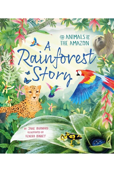 Macmillan A Rainforest Story: Animals of the