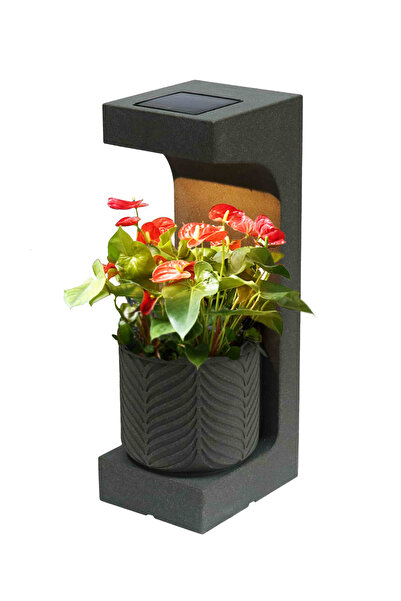 Divona Home Lumina Solar Işıklı Dekoratif Bahçe Saksısı