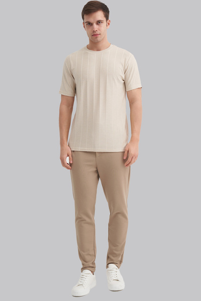 Cazador Pablo Men's Striped Textured Premium Regular Fit Crew Neck T-Shirt 4203