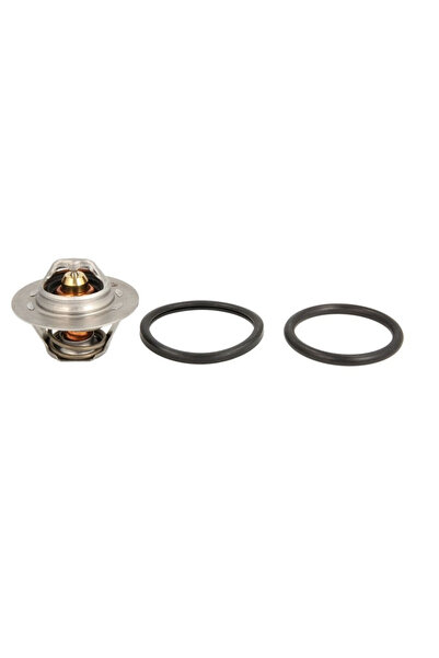 OEM Termostat lichid racire TH6045.89J