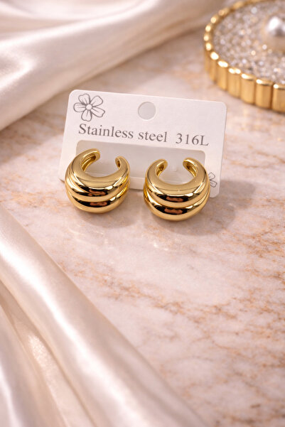 Bozhi Earrings Steel Silver Stylish Gift