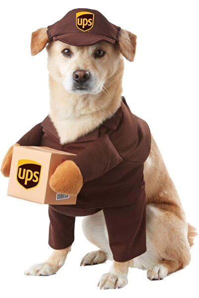 Yıldızan Terra Organik California Costumes Ups Dog Costume Large Terra Organi...