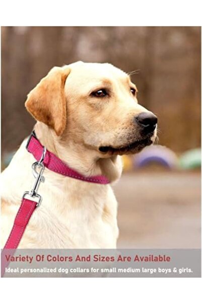 Yıldızan Terra Organic Dog Collars, Reflective Dog Collar, Soft Neoprene Padd...