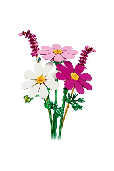 LEGO Botanicals Kozmos Çiçekleri 11514 - 9 Yaş ve Üzeri Çocuklar için Dekoratif Model Yapım Seti (17