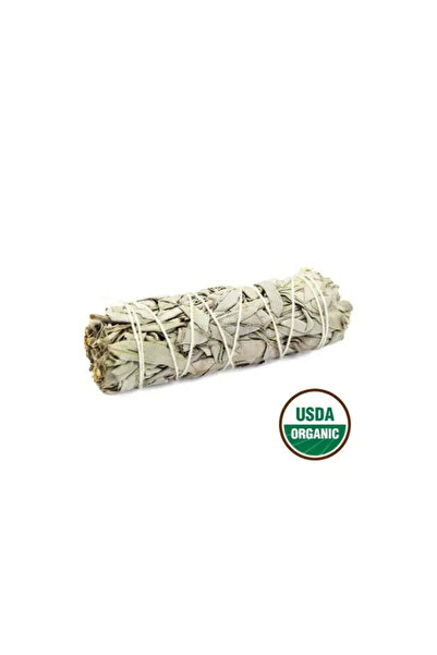 VİALUNA Buchet ceremonial de plante uscate, aspect alb-argintiu, premium - 10 cm