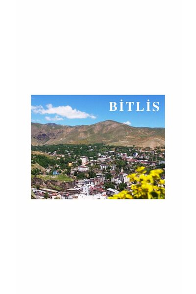 Gokco Buzdolabı Süs Magneti Bitlis Magnet