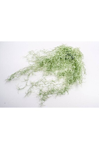 OEM Flori Artificiale Buchet Iarba Creata Verde Cu Alb