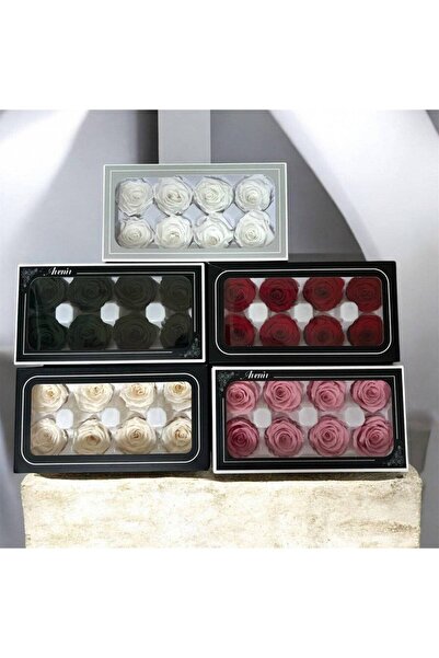 OEM Trandafiri Criogenati 8/set Roz
