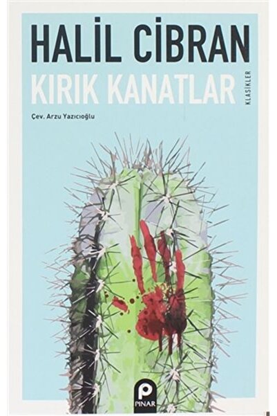 Pınar Yayınları Kırık Kanatlar
