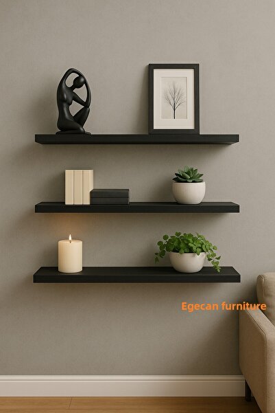 rava sa 3-Piece Floating Wall Shelf Set, Hidden Wall Shelf, Decorative Wall S...