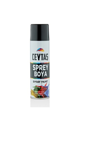 CEYTAŞ SİYAH SPREY BOYA