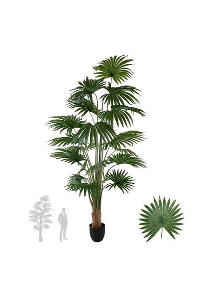 Roberto Rossi Palmier artificial H220cm Washingtonia cu 20 de frunze cu prote...