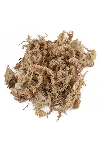 OEM Mușchi Sphagnum Premium, ambalat în vid - uscat din Chile 3.5 Litri - 70g
