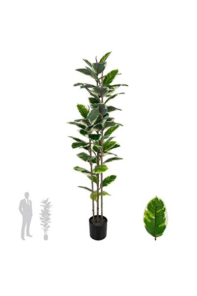 Roberto Rossi Artificial tree H160cm Ficus elastica variegated with 61 green ...