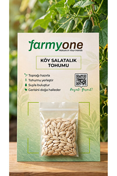farmyone Yerli Ata 100 Adet Köy Salatalık Tohumu