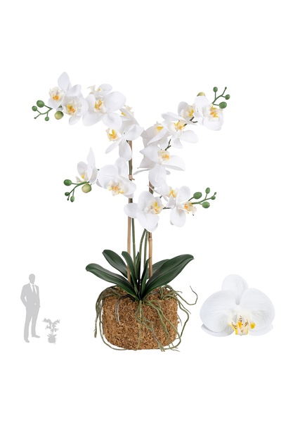 Roberto Rossi Orhidee artificiala alba cu aspect H59 cm cu 3 tulpini