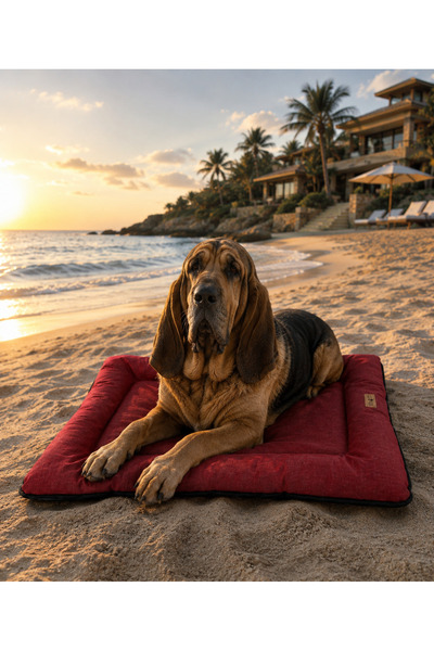 Bir Pati İzi Kedi ve Köpek Yer Minderi Outdoor Su Geçirmez Üst Kalite Tüy ve ...