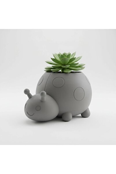 OEM Ghiveci Decorativ Tip Buburuză pentru Plante Mici și Suculente