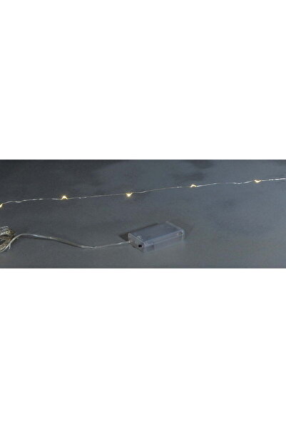 Generic 100 λαμπάκια LED σε σειρά μπαταρίας, 10 m, ασημί καλώδιο χαλκού (Copp...