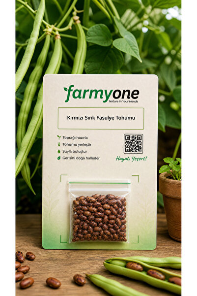 farmyone Ata Tohum Kırmızı Sırık Fasulye 50 Adet