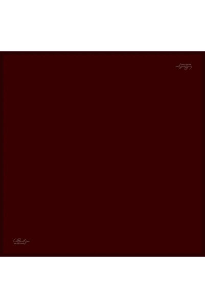 LA BOUTIQUE Labouti̇que Solid Color Twill Silk Scarf Düz124